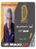 معرض الصور